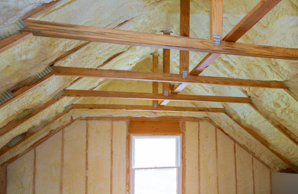 Best Cellulose Insulation  in Olmos Park, TX